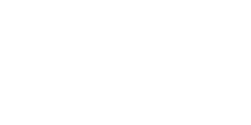 v12 Partners
