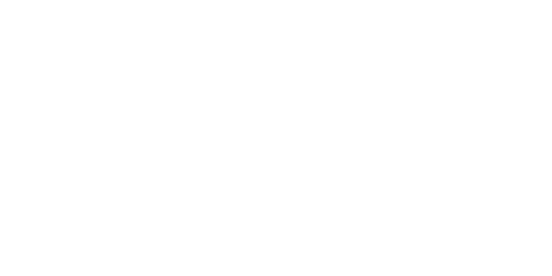 logo-v12-new-name-smallleft-white-3 V12 Partners